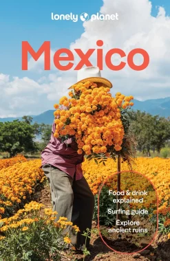 Lonely Planet Mexico|Mexico 19