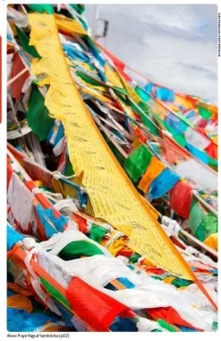 Lonely Planet Nepal, Bhutan & Tibet|Tibet - reisgids Tibet