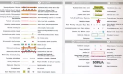 Marco Polo Oost-Europa|Wegenkaart Bulgarije