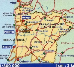 Michelin Spanje & Portugal|Wegenkaart 591 Noord-Portugal