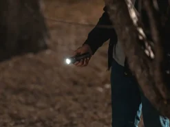 nebo Zaklampen|Newton 500