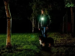 Olight Zaklampen|Oclip Pro