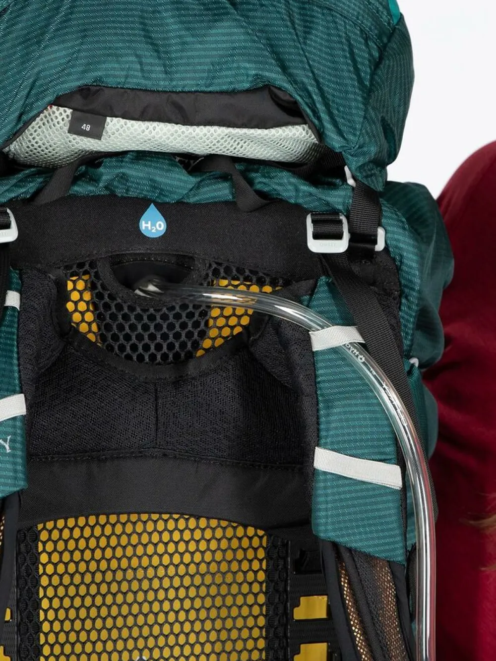 Osprey Dagrugzakken|Eja 38