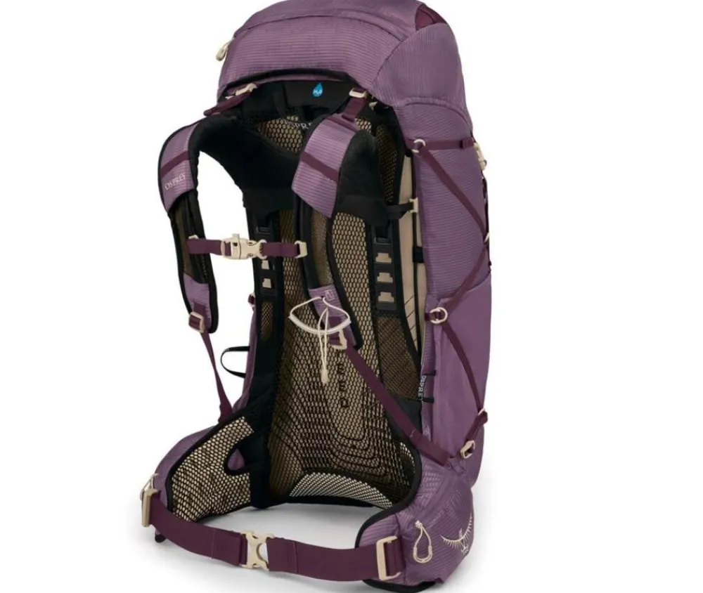 Osprey Dagrugzakken|Eja 38