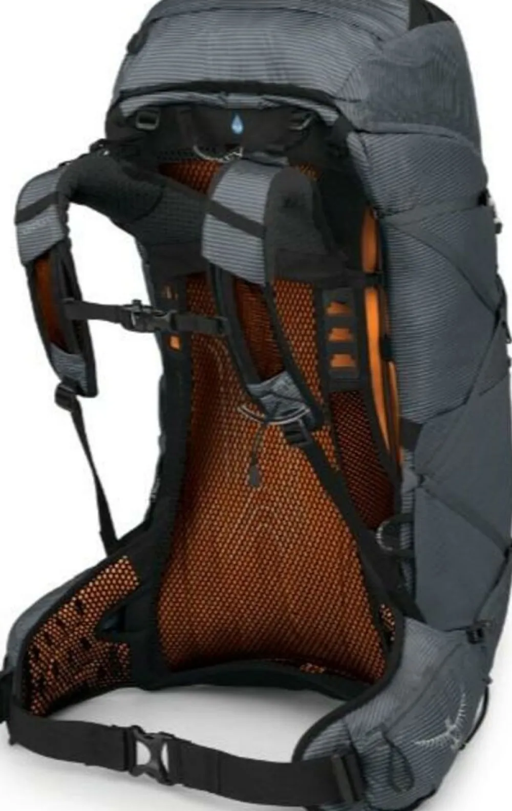 Osprey Backpacks|Exos 48