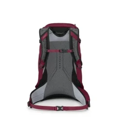 Osprey Dagrugzakken|Hikelite 28