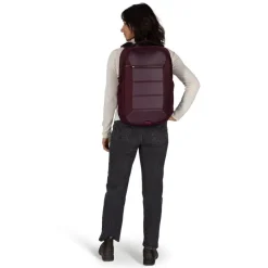 Osprey Dagrugzakken|Ozone Laptop backpack