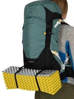 Osprey Dagrugzakken|Sirrus 36