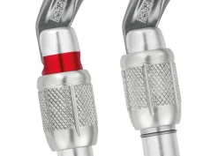 Petzl Petzl Professional|Karabiners|Am'D Screw Lock - schroefkarabiner