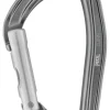 Petzl Karabiners|Djinn carabiner straight gate gray