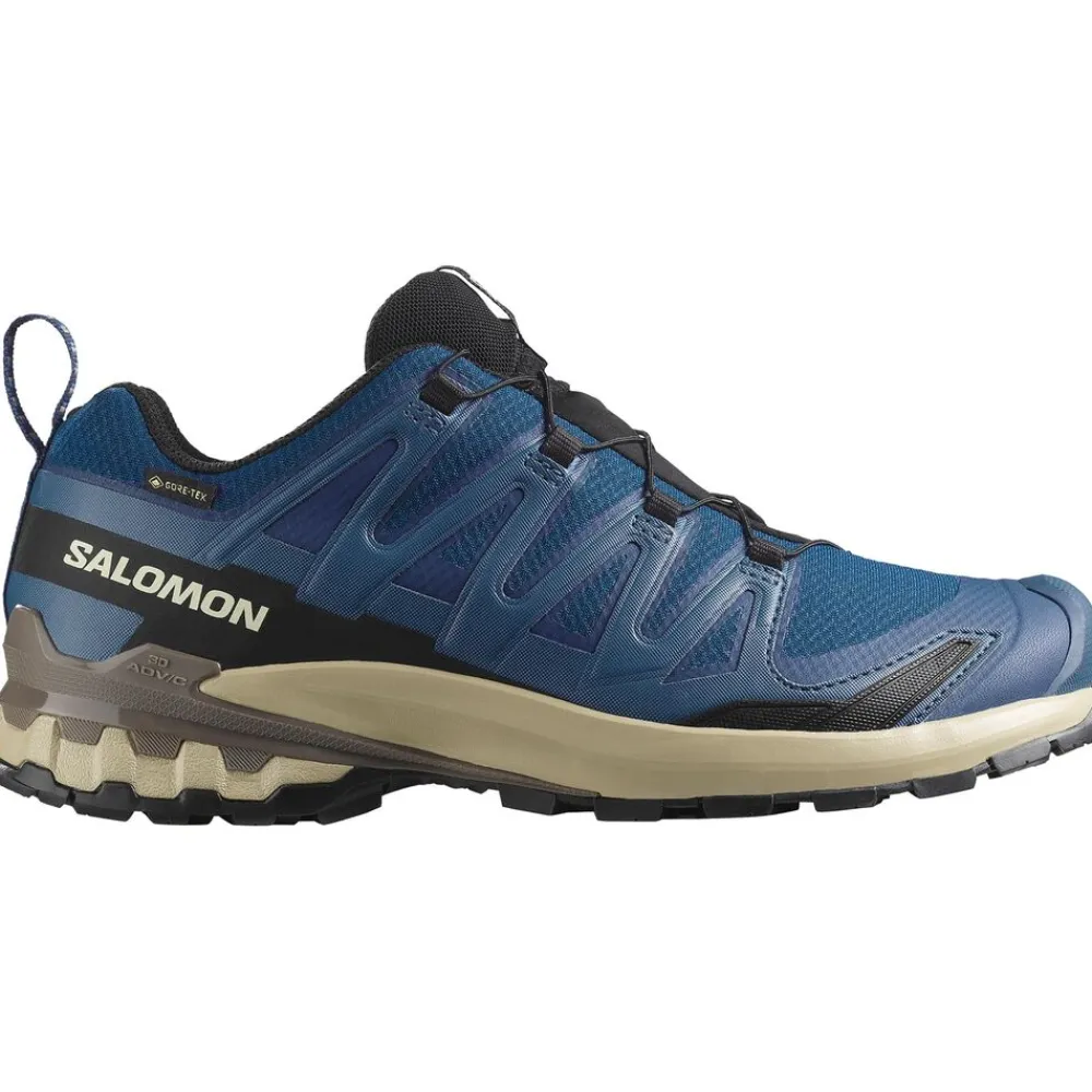 Salomon A-Wandelschoenen|XA Pro 3D V9 GTX