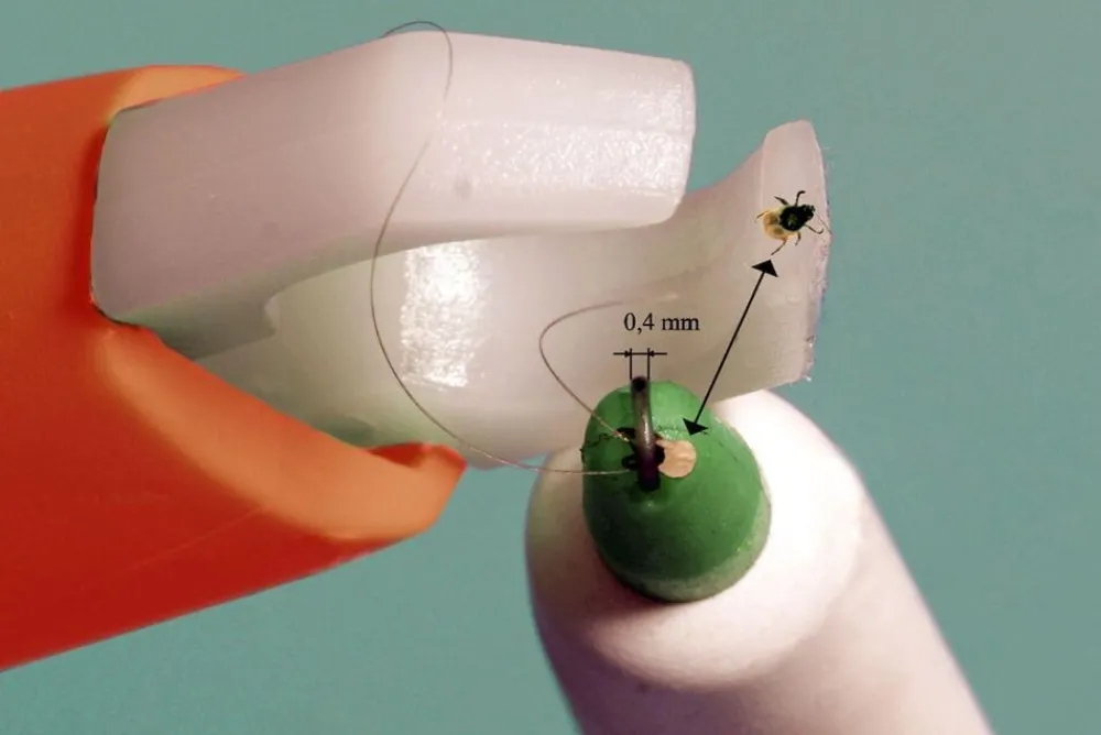 Trix Na De Beet|tekenverwijderaar + test