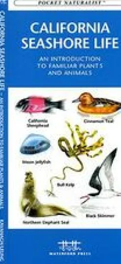 Waterford Natuurgidsen|Verenigde Staten|California Seashore Life