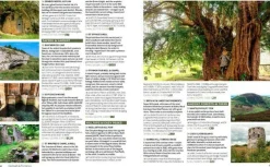 Wild Things Groot-Brittanië & Ierland|Wild Guide Wales & Marches